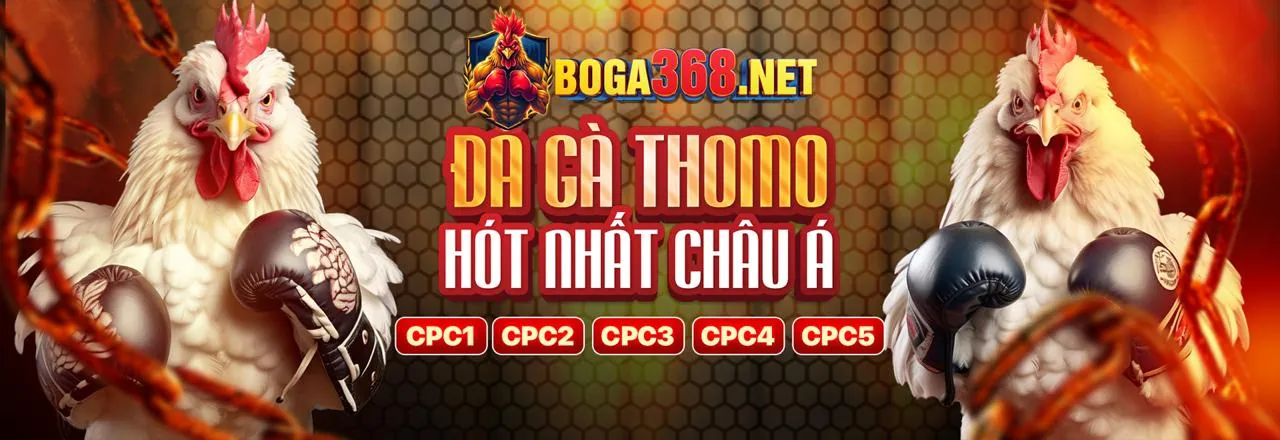 Hướng dẫn xác minh ứng dụng OX88 trong cài đặt iOS